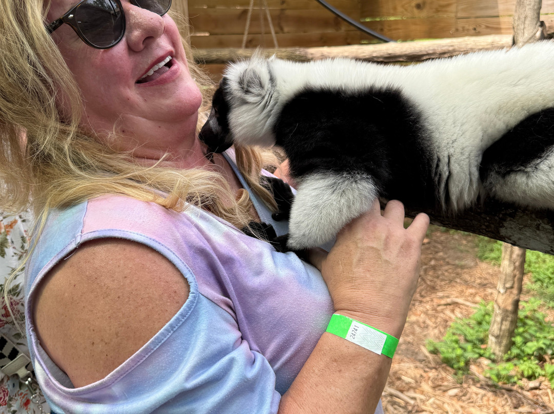 North Florida Wildlife Center-Lamont必去景点