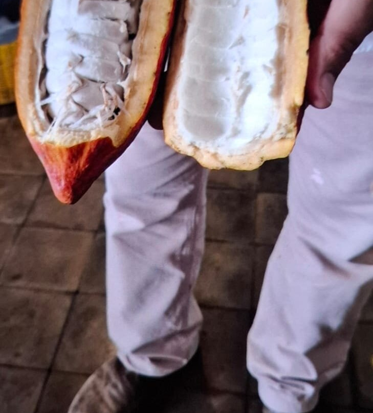 Fazenda Capela Velha-Urucuca必去景点