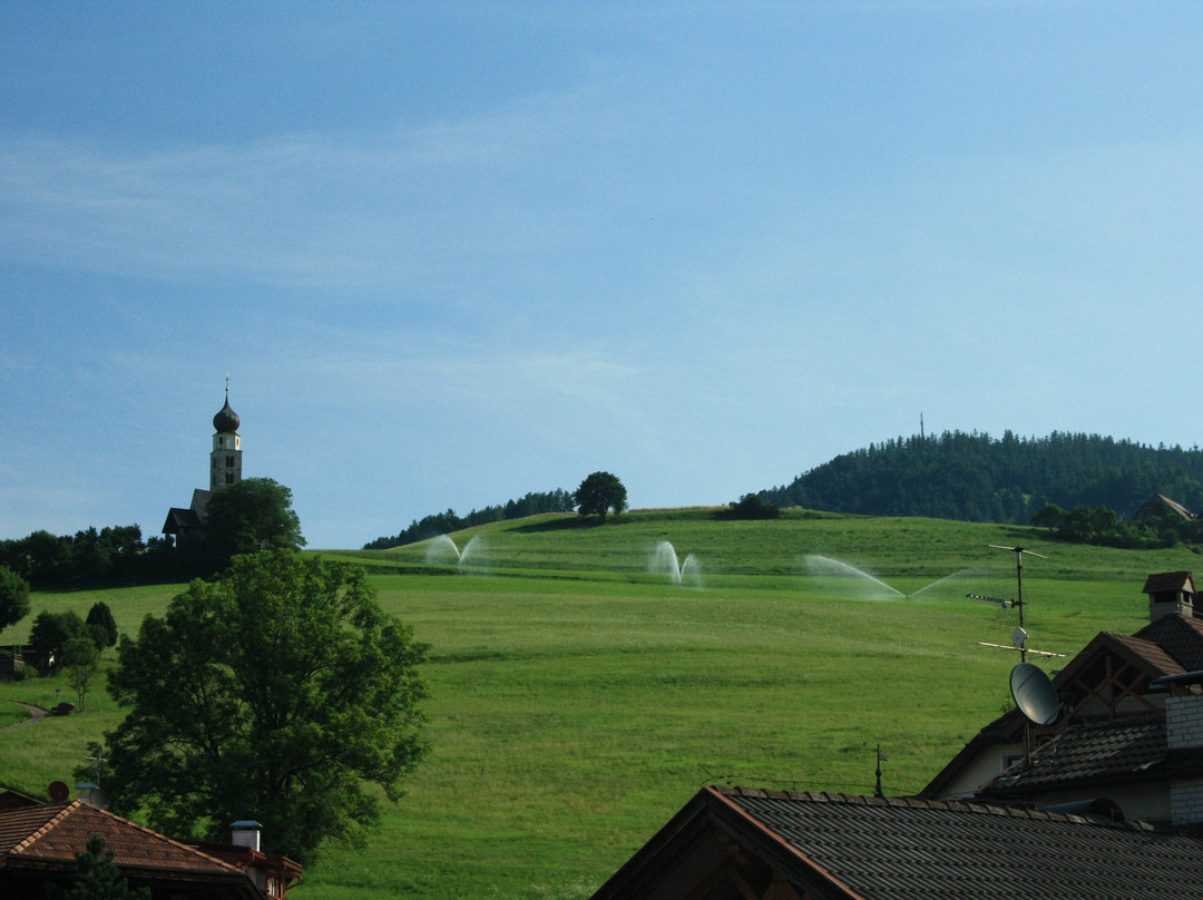 Schwarzer Adler主图