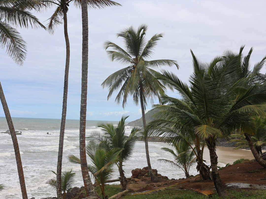 Trilha das Quatro Praias-Itacare必去景点