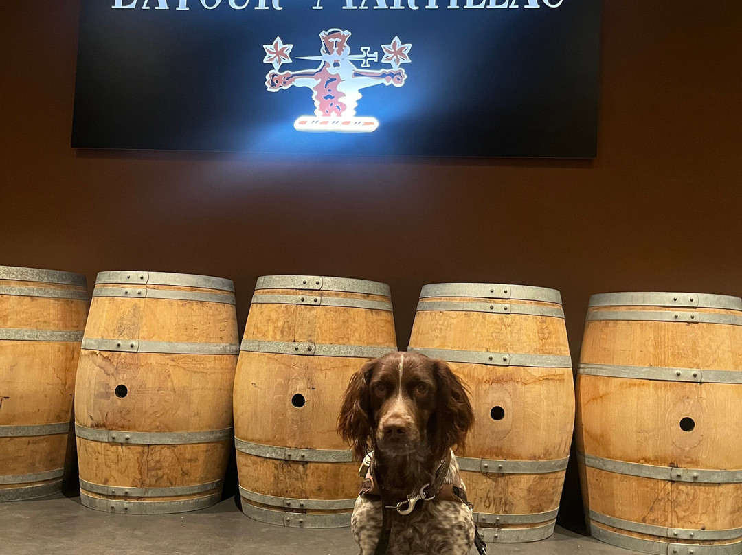 Chateau Latour-Martillac-马尔迪亚克必去景点