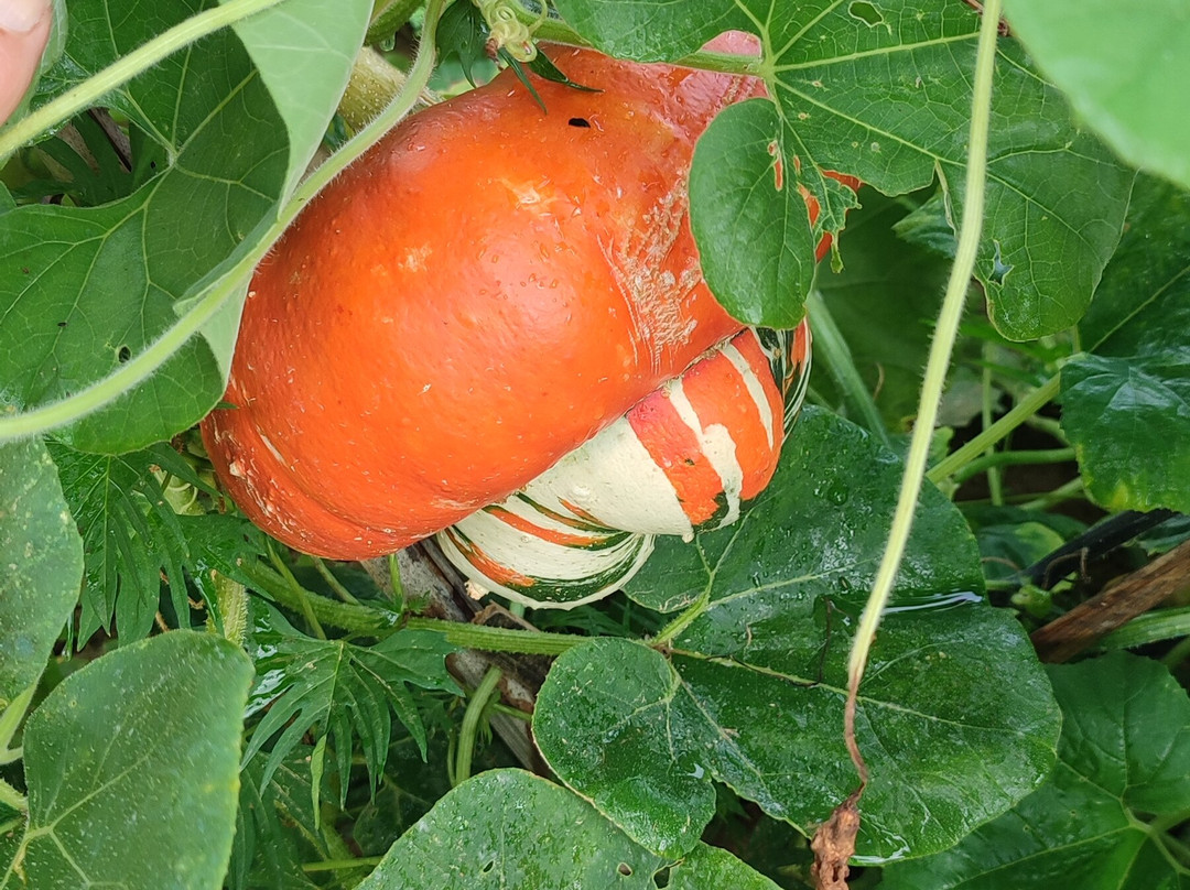 Le Jardin Extraordinaire-Lieurac必去景点