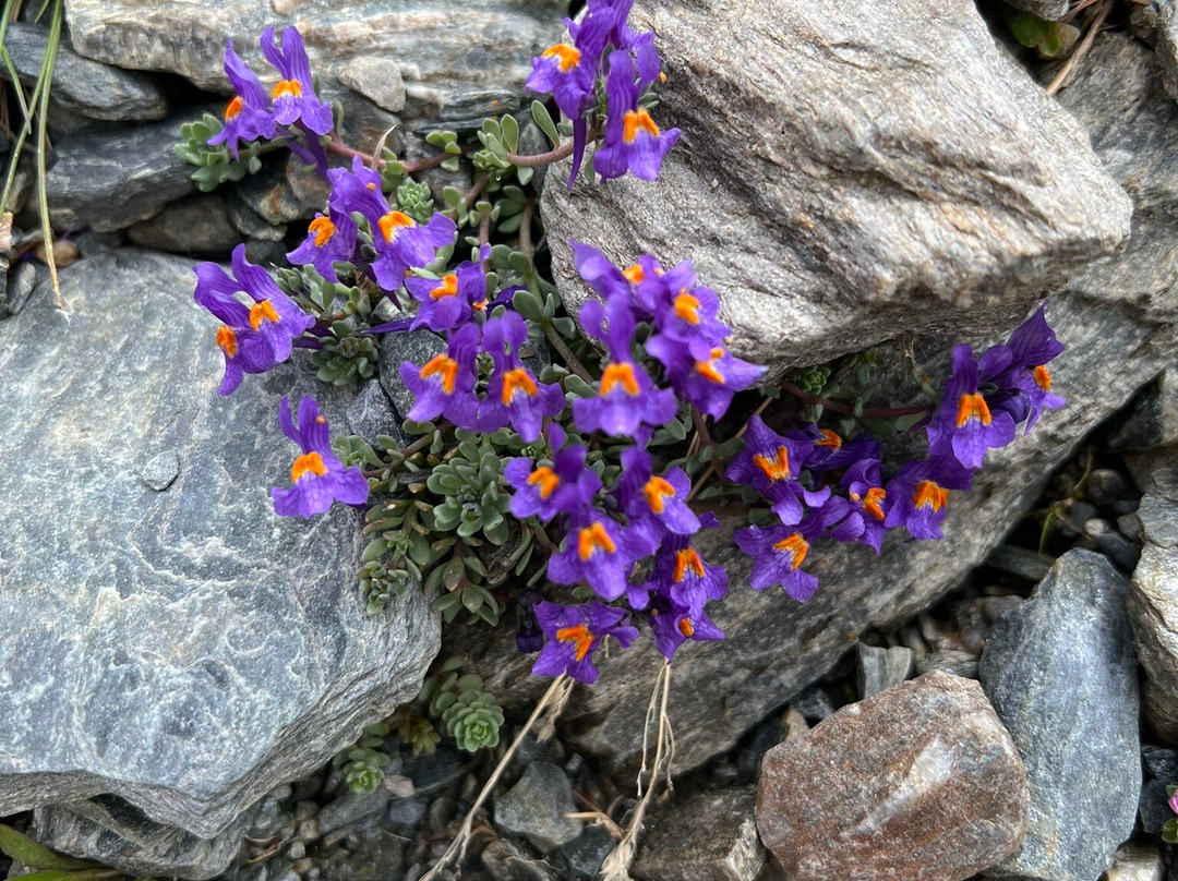 Gondel-Seilbahn Sulden - Funivia Solda-Solda必去景点