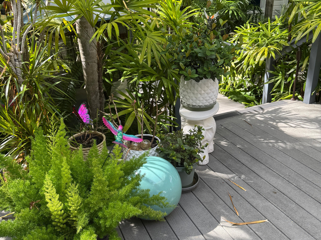 The Mermaid & The Alligator主图