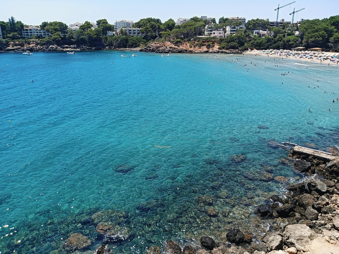 Cala Llenya-伊维萨城区必去景点