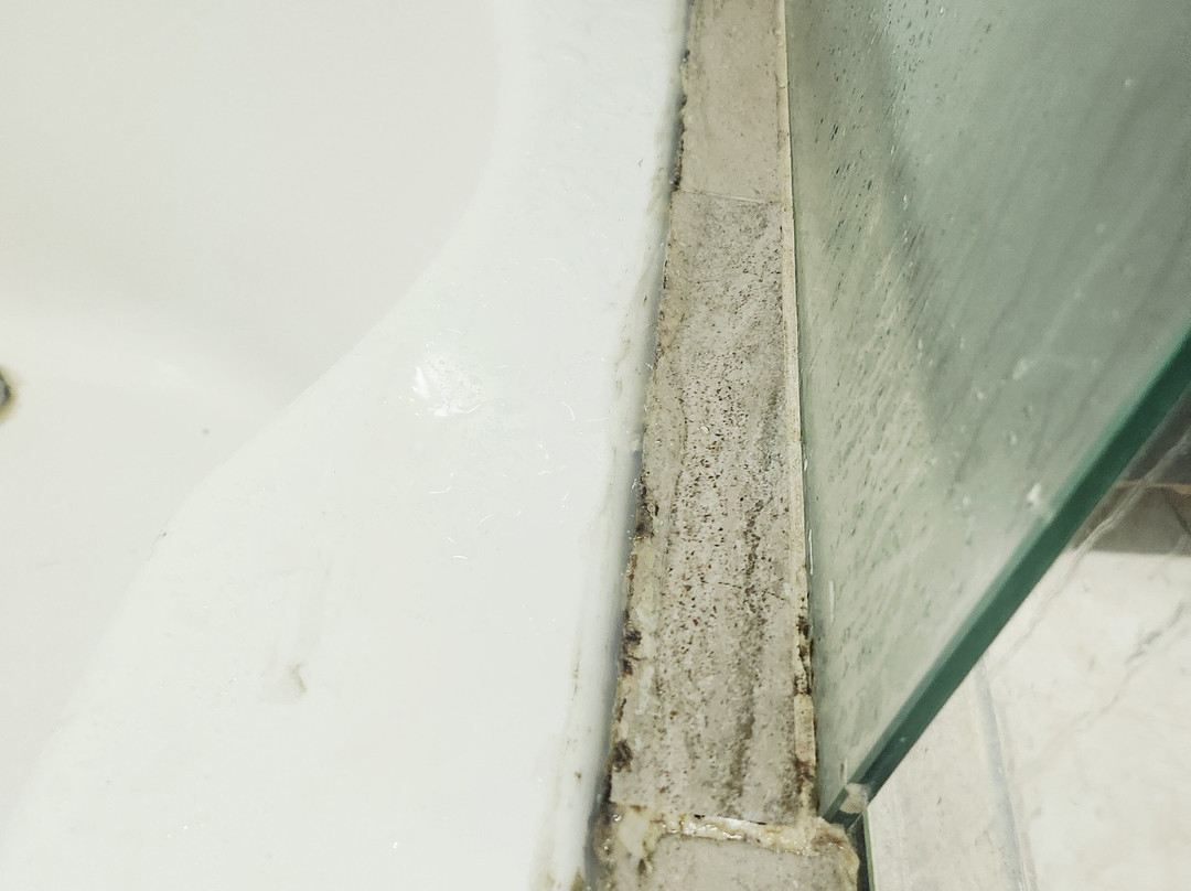 El Bosque Hotel Campestre主图