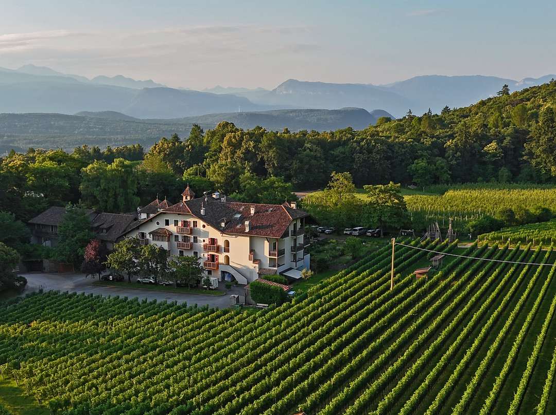 Hotel Stroblhof主图