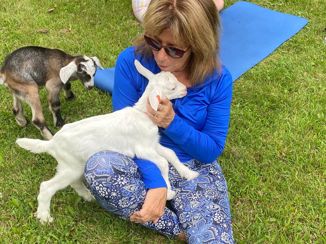 Wade House-Greenbush必去景点