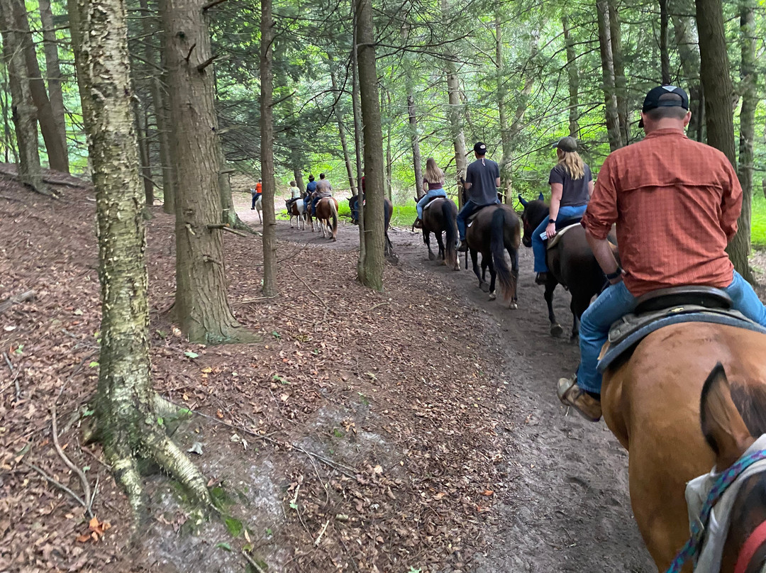 Stony Lake Stables-New Era必去景点