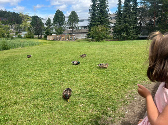 Linderud gård-奥斯陆必去景点