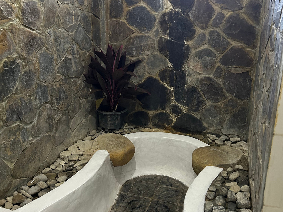 彭杜克旅游格亚纱丽酒店主图