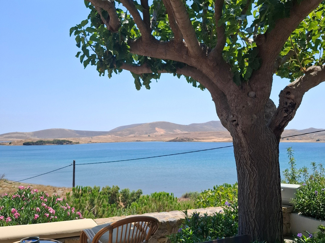 Ktima Olon-Kontias必去景点