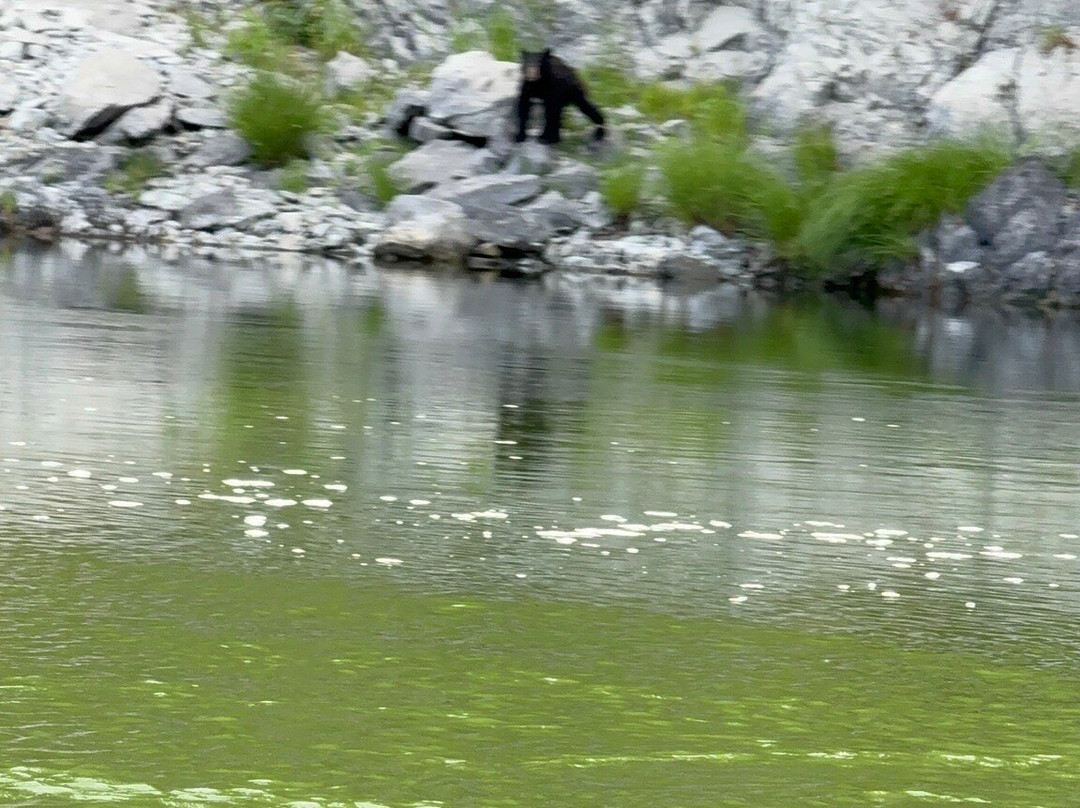 Klamath River Jet Boat Tours-克拉马斯必去景点