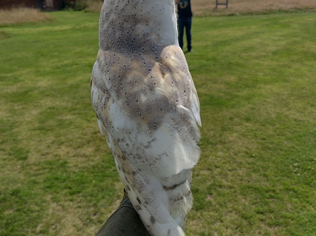 The Hawking Centre-Boughton Lees必去景点