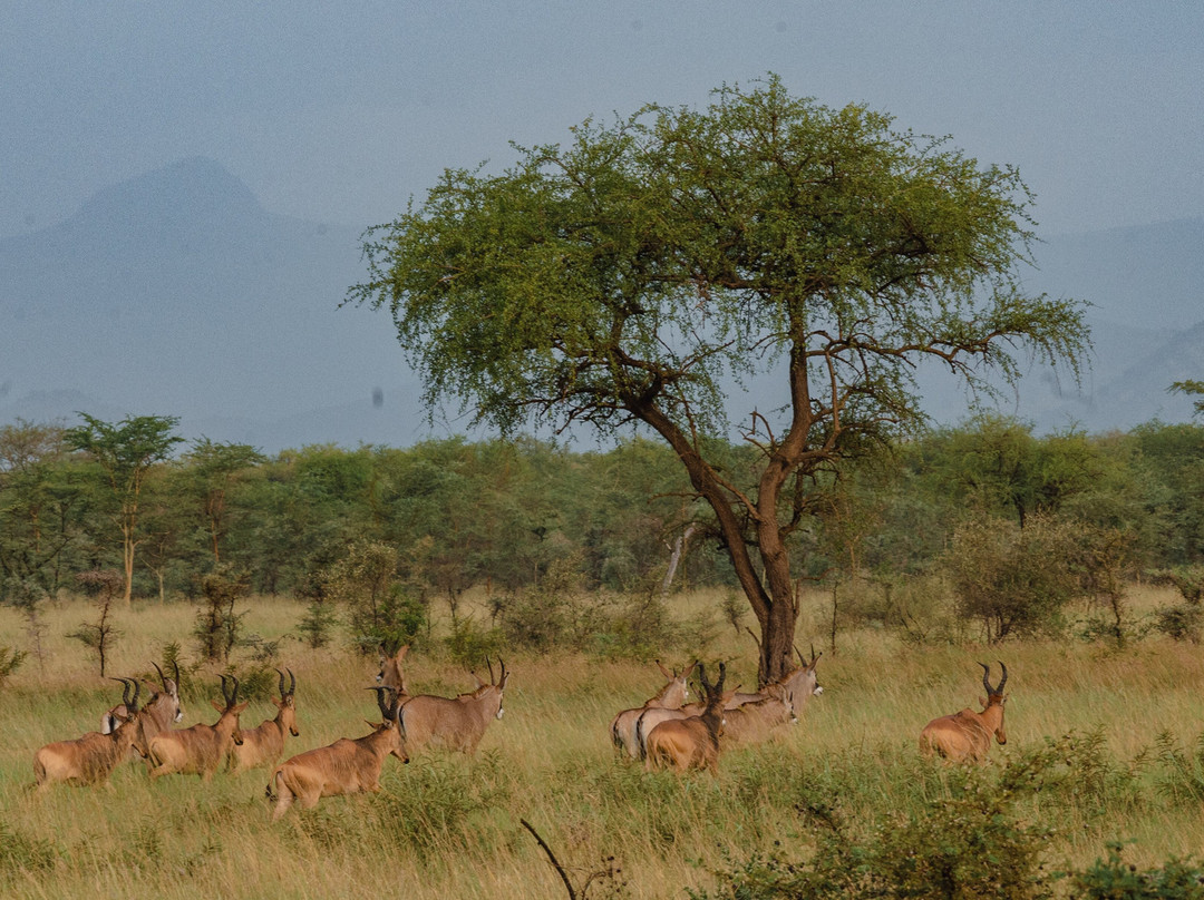 Mt. Elgon National Park-Eastern Region必去景点