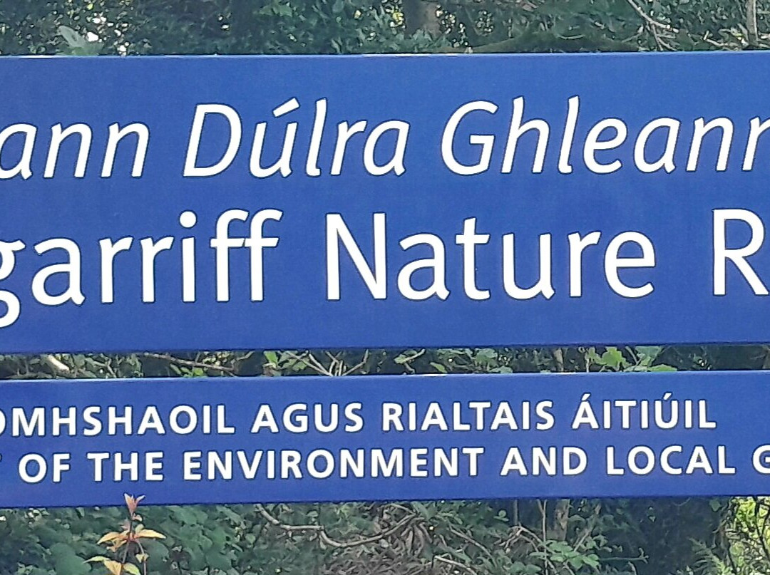 Glengarriff Nature Reserve-Glengarriff必去景点
