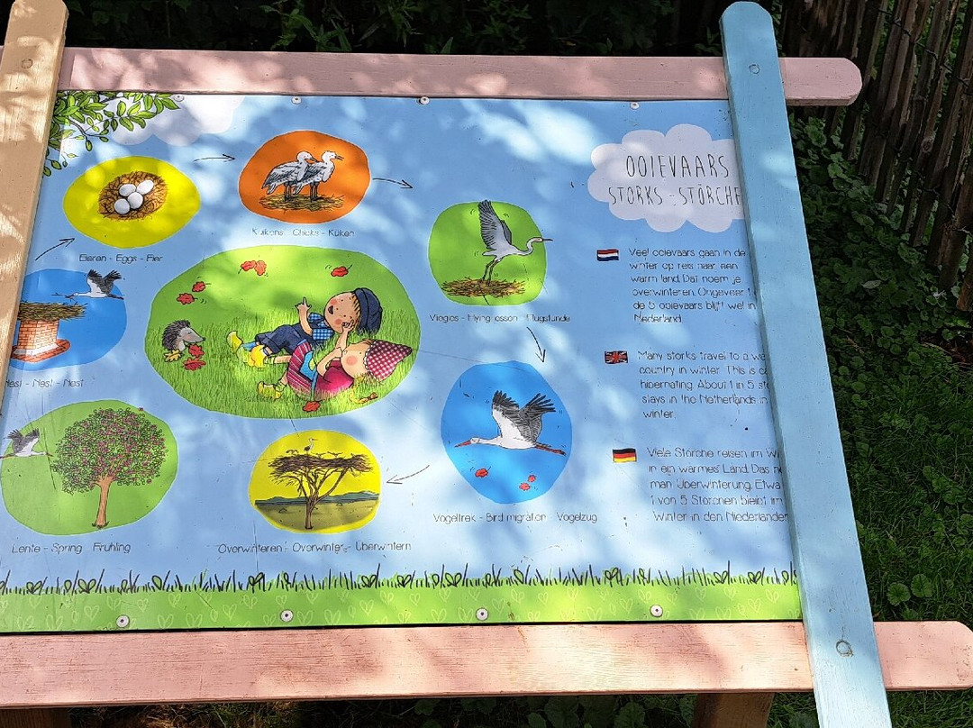 Avonturenboerderij Molenwaard-Groot-Ammers必去景点