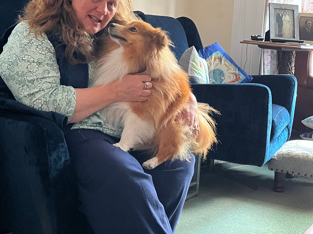 Albany House Bed and Breakfast主图