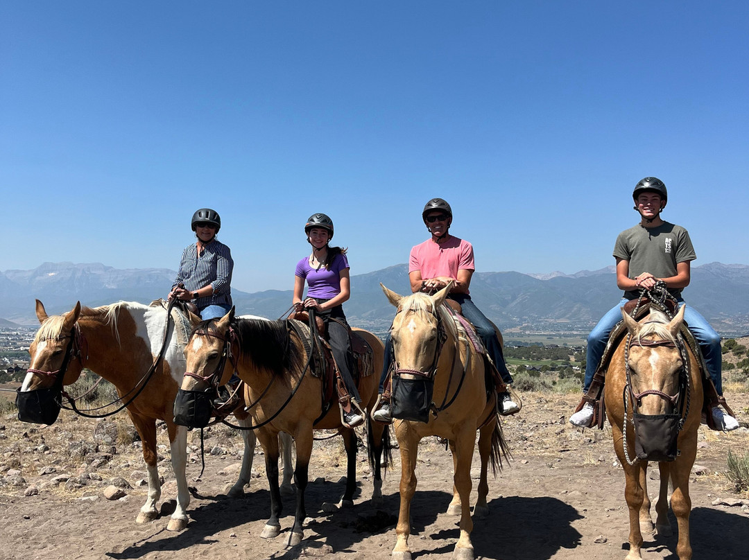 KB Horses-希伯城必去景点