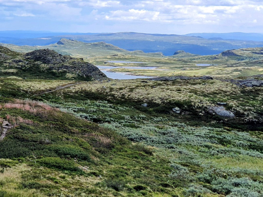Rødungstøl Høyfjellshotell主图