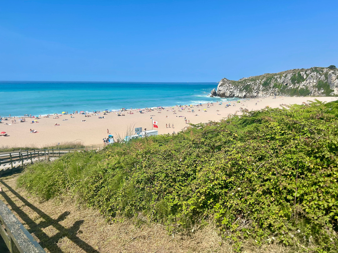 Waikiki Escuela de Surf & SUP-Cuchia必去景点