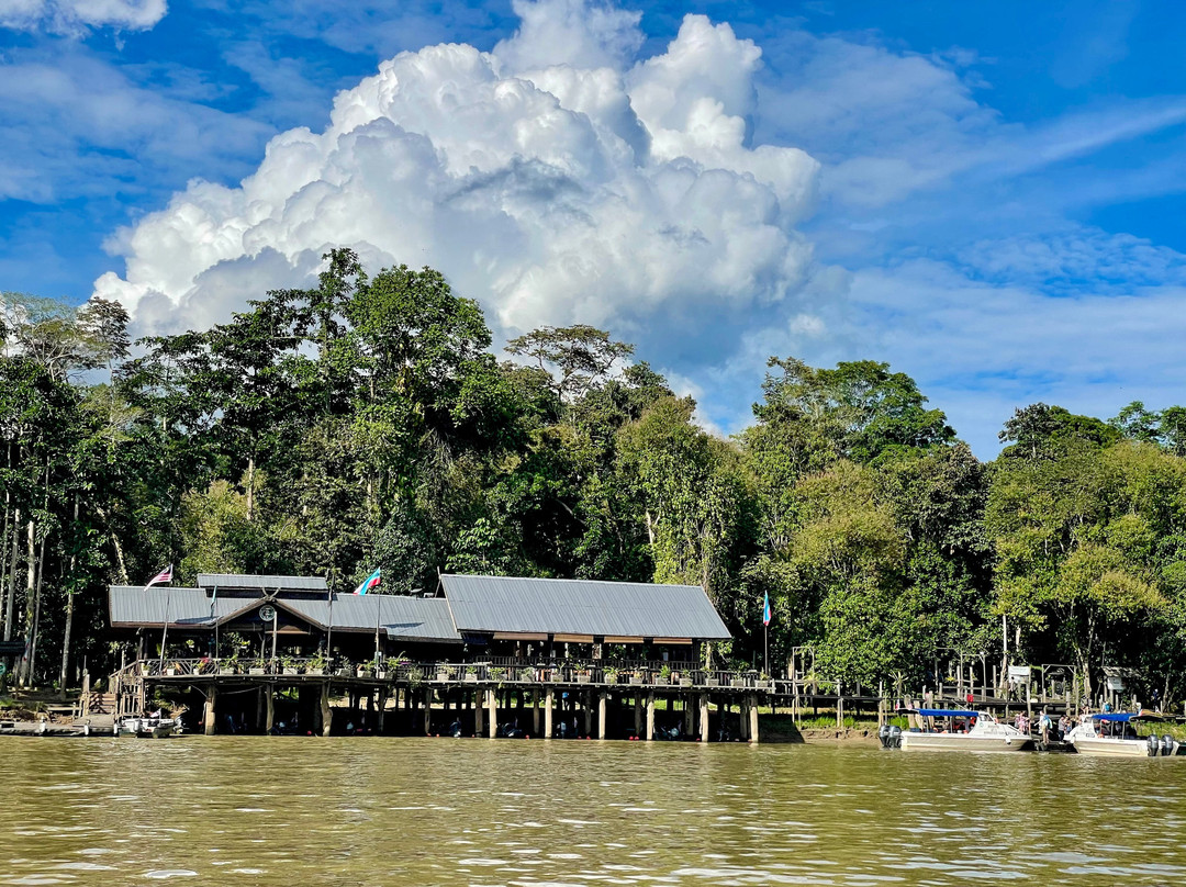 Sepilok Forest Edge Resort主图