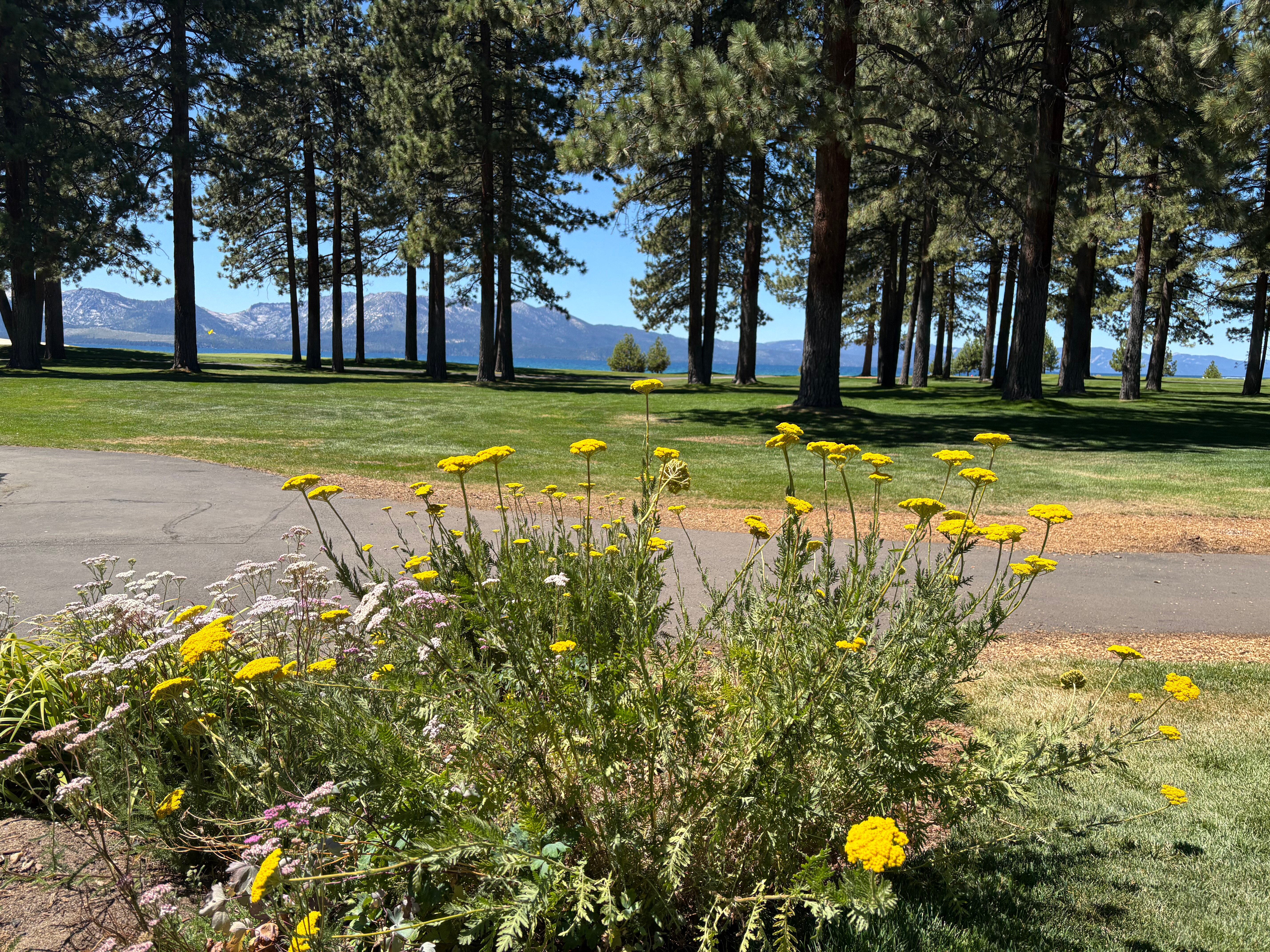 Edgewood Tahoe Resort-浴室