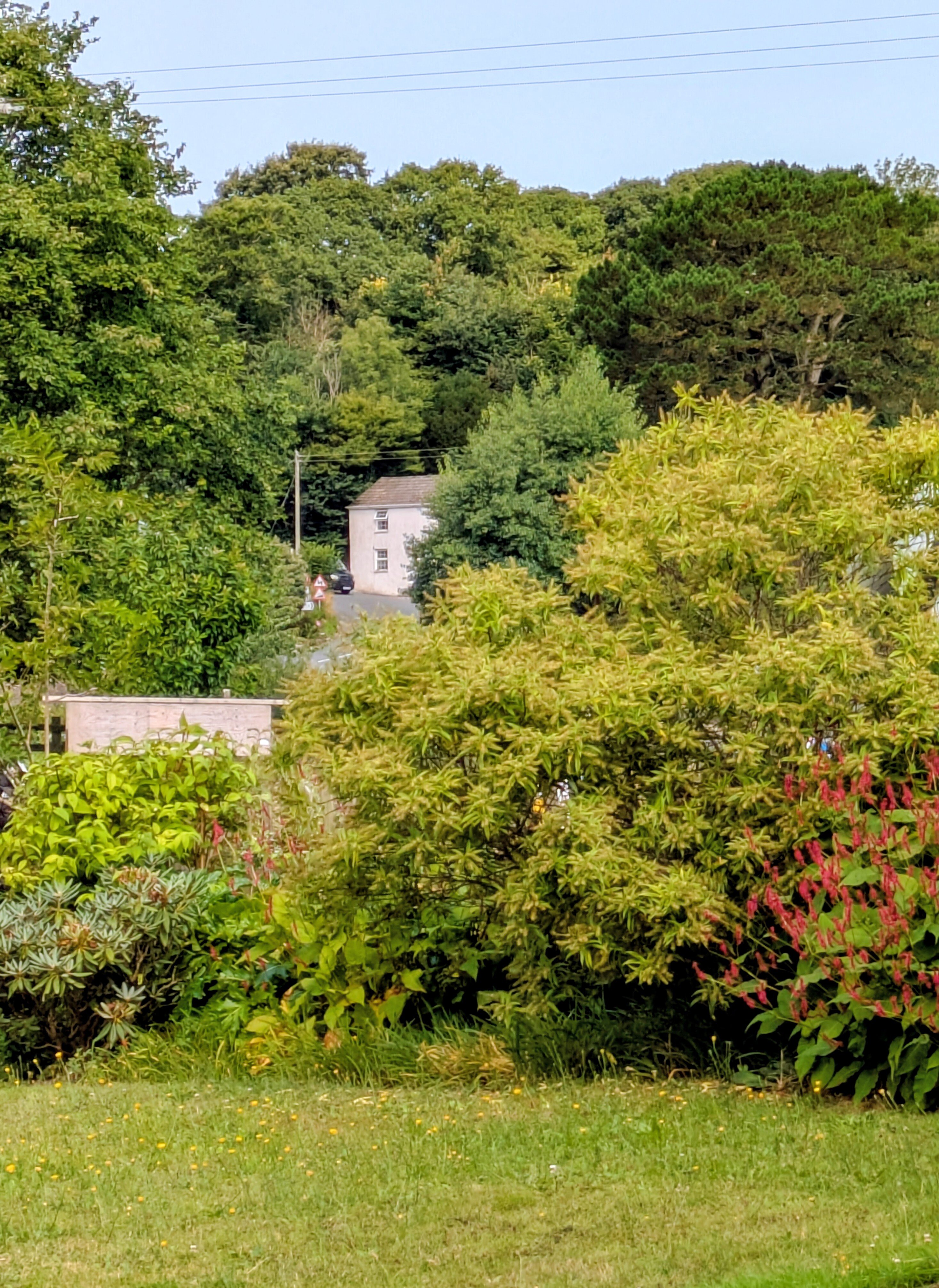 Lynwood House Bed & Breakfast-官方