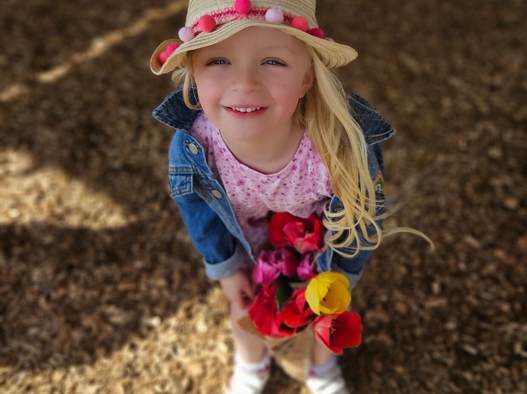 The Flower Belt-赫尔姆斯利必去景点