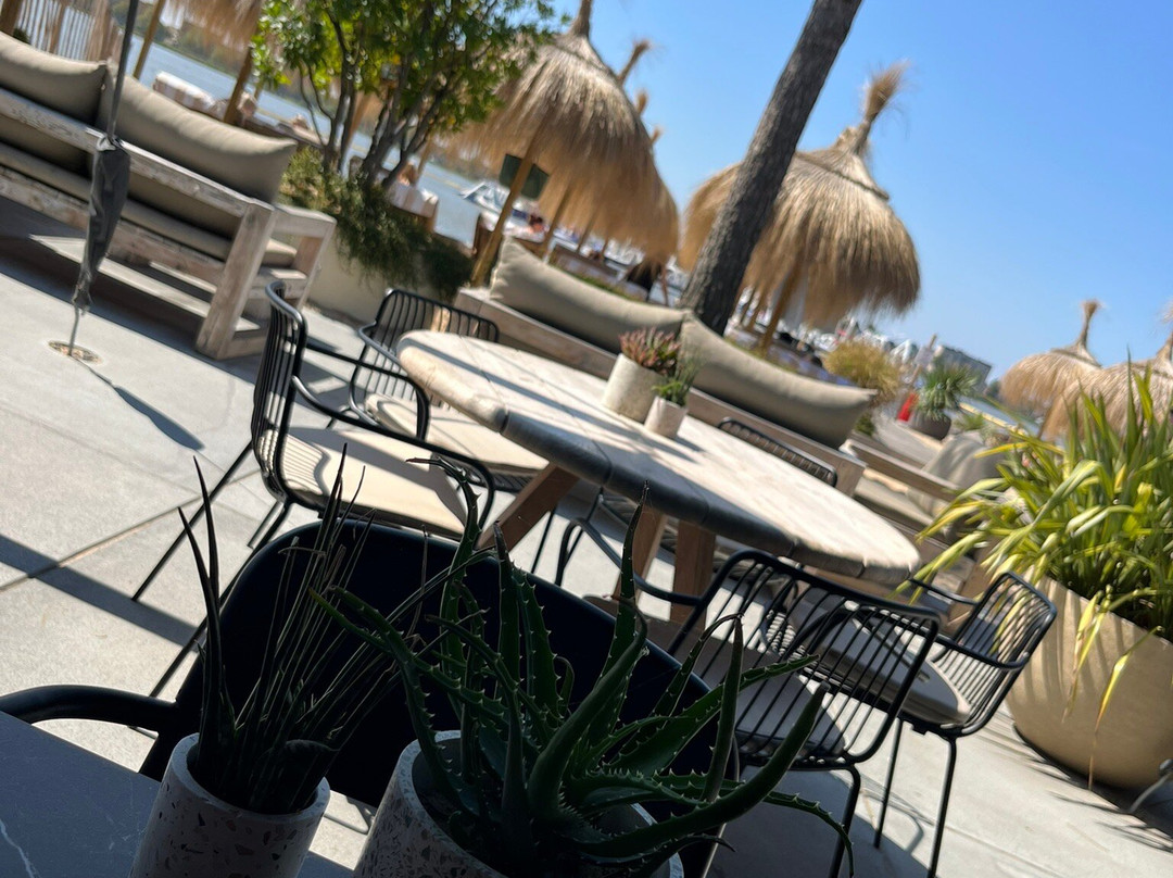 Akqa Beach-Bergen op Zoom必去景点