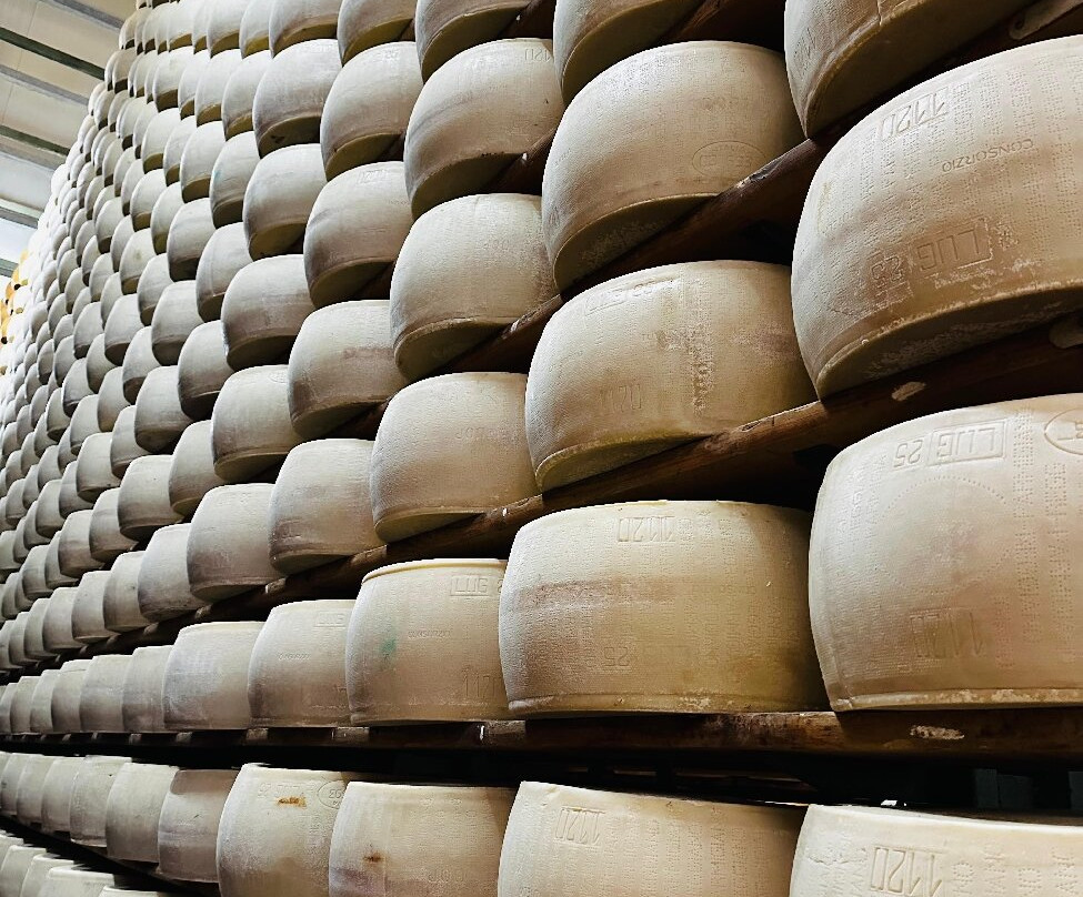 Azienda Agricola Moscattini-Formigine必去景点