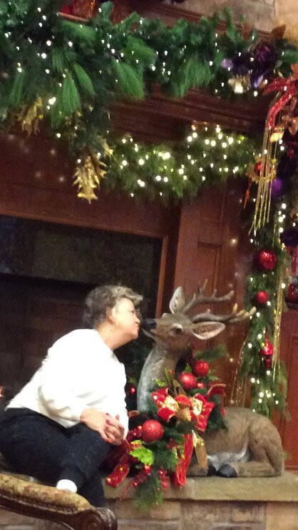 The Christmas Place-皮金福奇必去景点