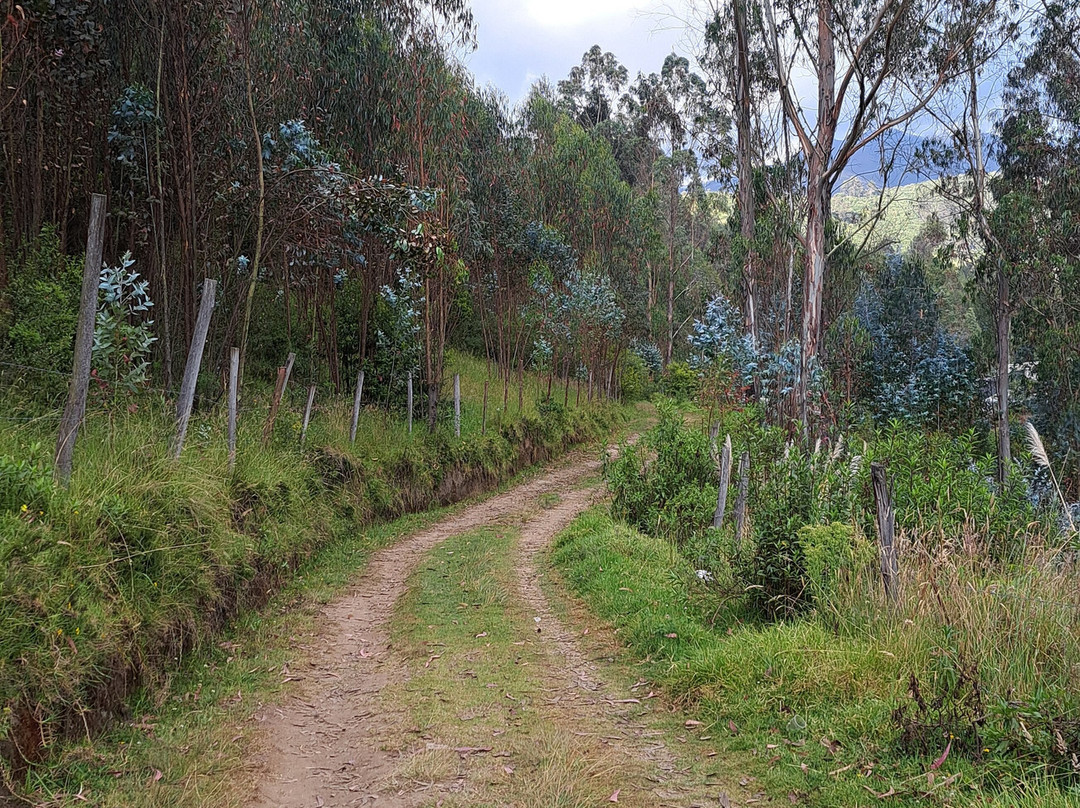 Todo Equino-Cayambe必去景点
