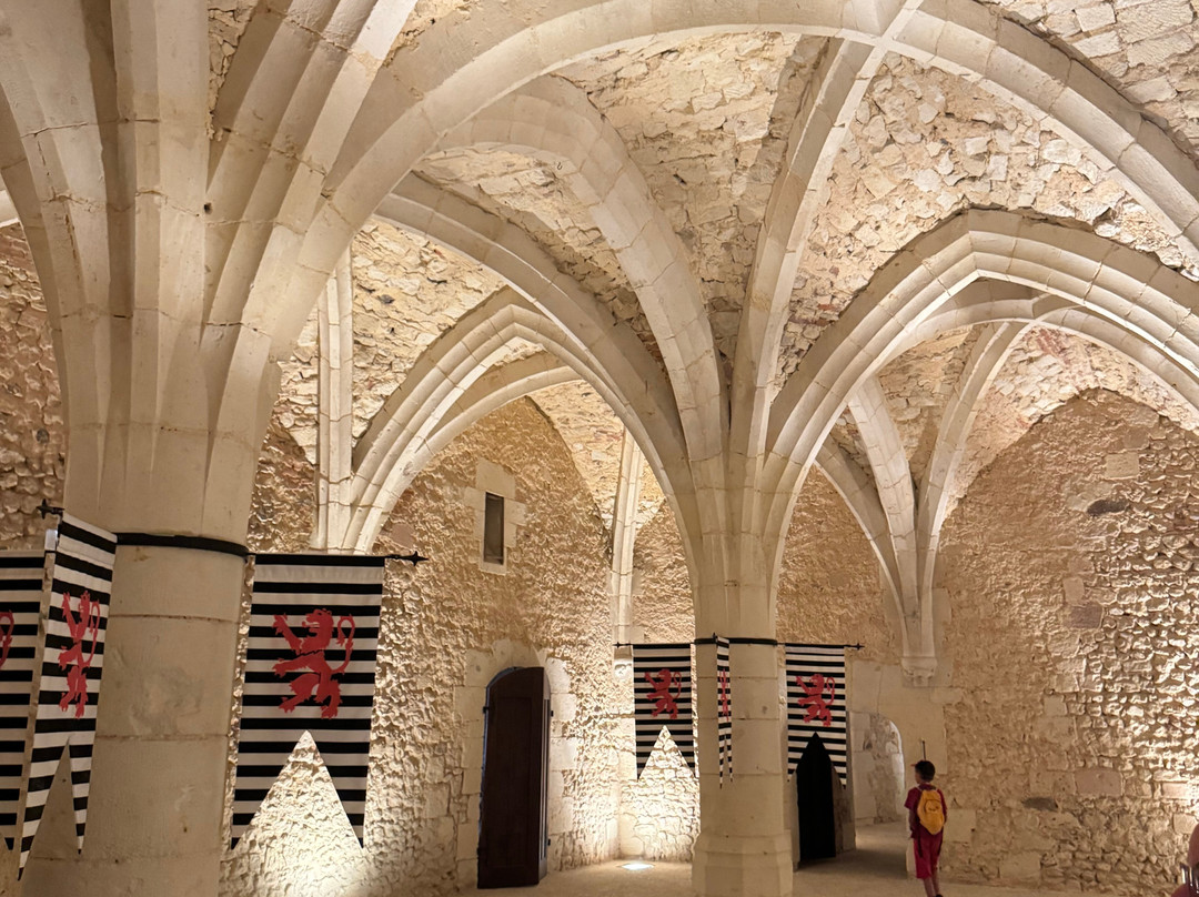Chateau de Montmirail-Montmirail必去景点