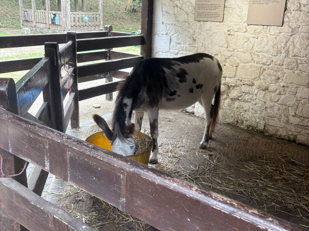 Carisbrooke Castle-纽波特必去景点