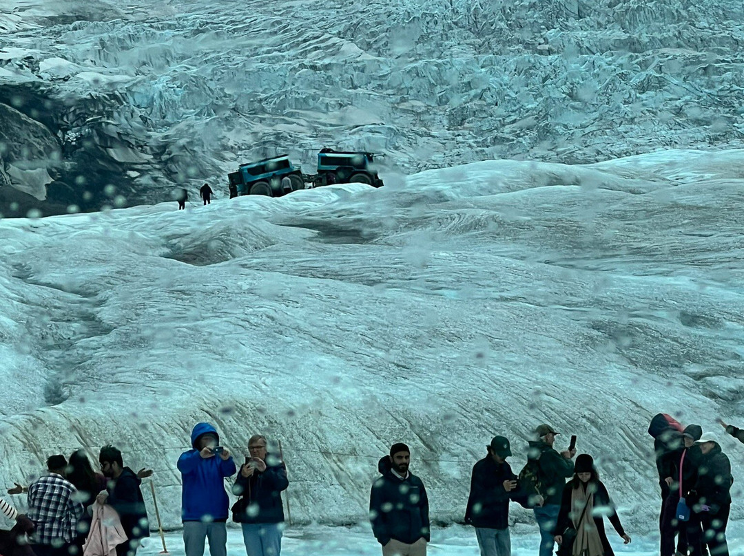 Columbia Icefield Scenic Walks-班夫必去景点