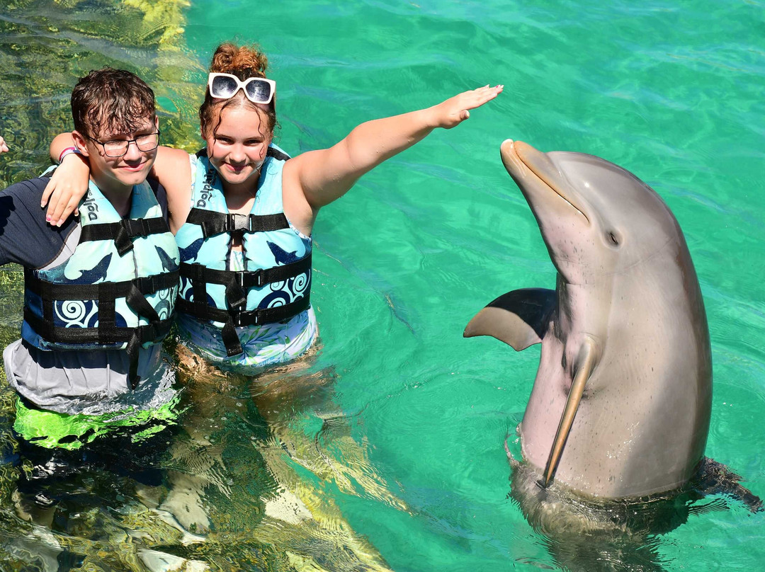 Dolphin Discovery Playa Del Carmen-普拉亚德尔卡曼必去景点