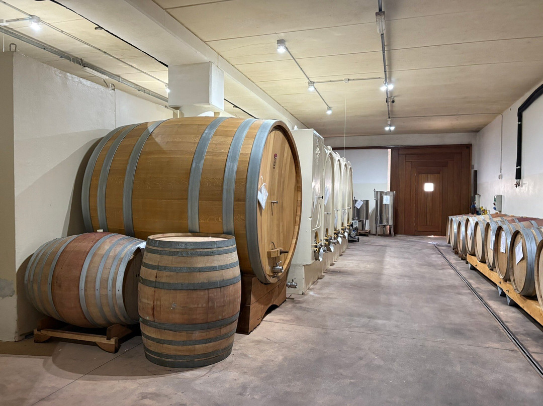 Cantina Giuseppe Sedilesu-Mamoiada必去景点