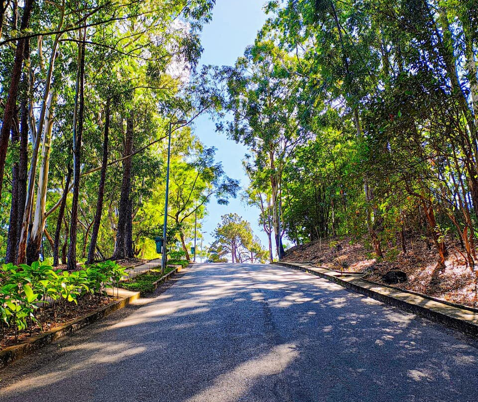 Mirante Mangabeiras-贝洛哈里桑塔必去景点