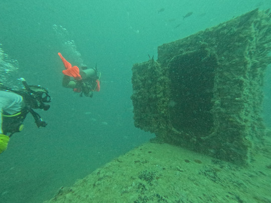 Lost Reef Adventures-基韦斯特必去景点