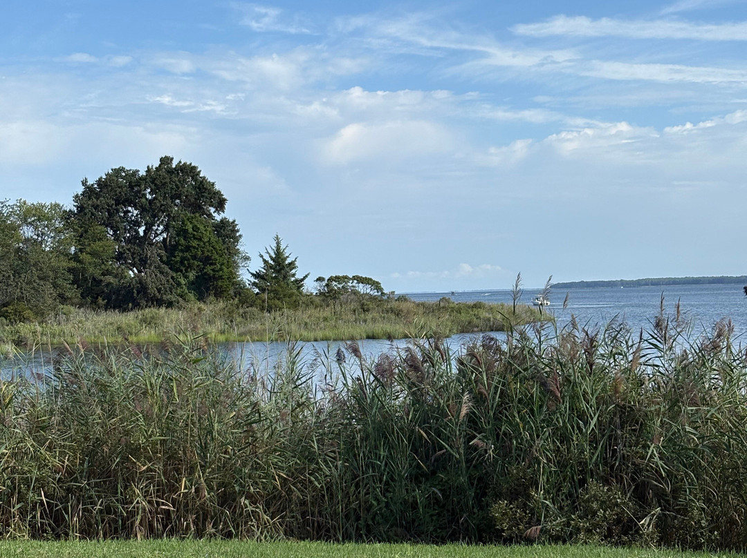 Holiday Inn Express Annapolis East-Kent Island by IHG主图