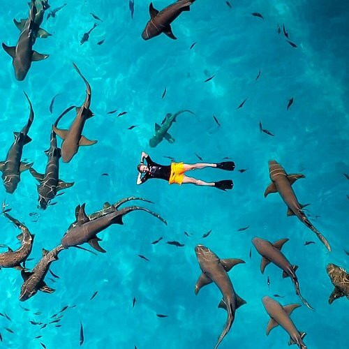 Thoddoo Marine Excursion