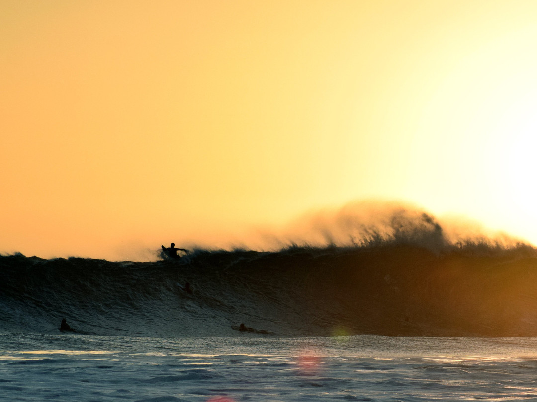 Sea & See Tours-里斯本必去景点