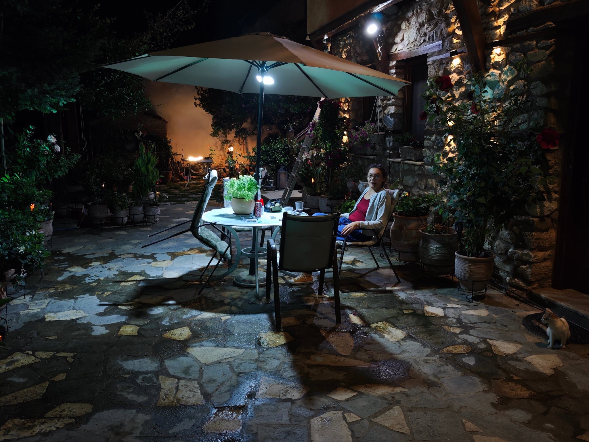 Livithron Rodon-官方