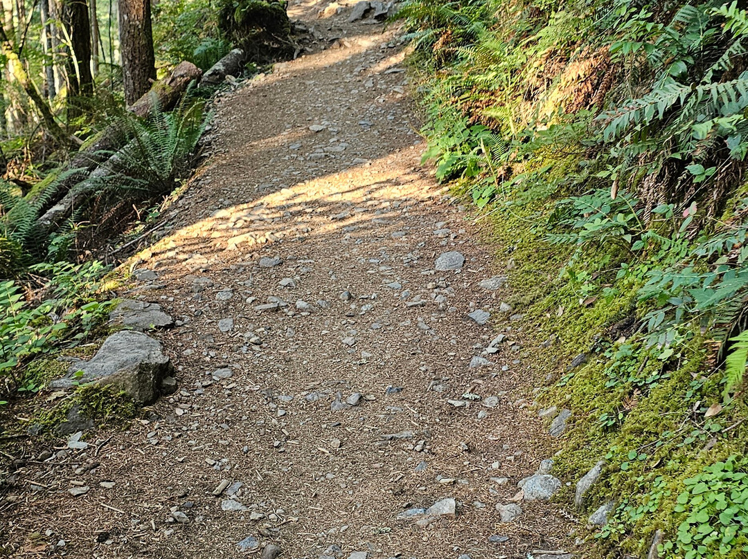 Mt Si-North Bend必去景点