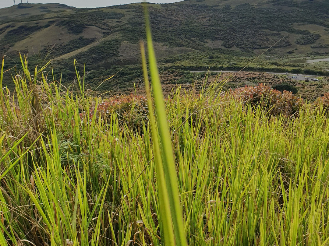 Lagoon El Junco-圣克里斯托瓦尔必去景点