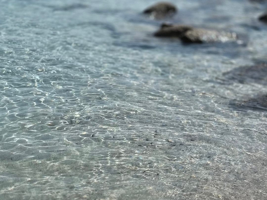 Veliero Dolce Vita-Maddalena Islands必去景点