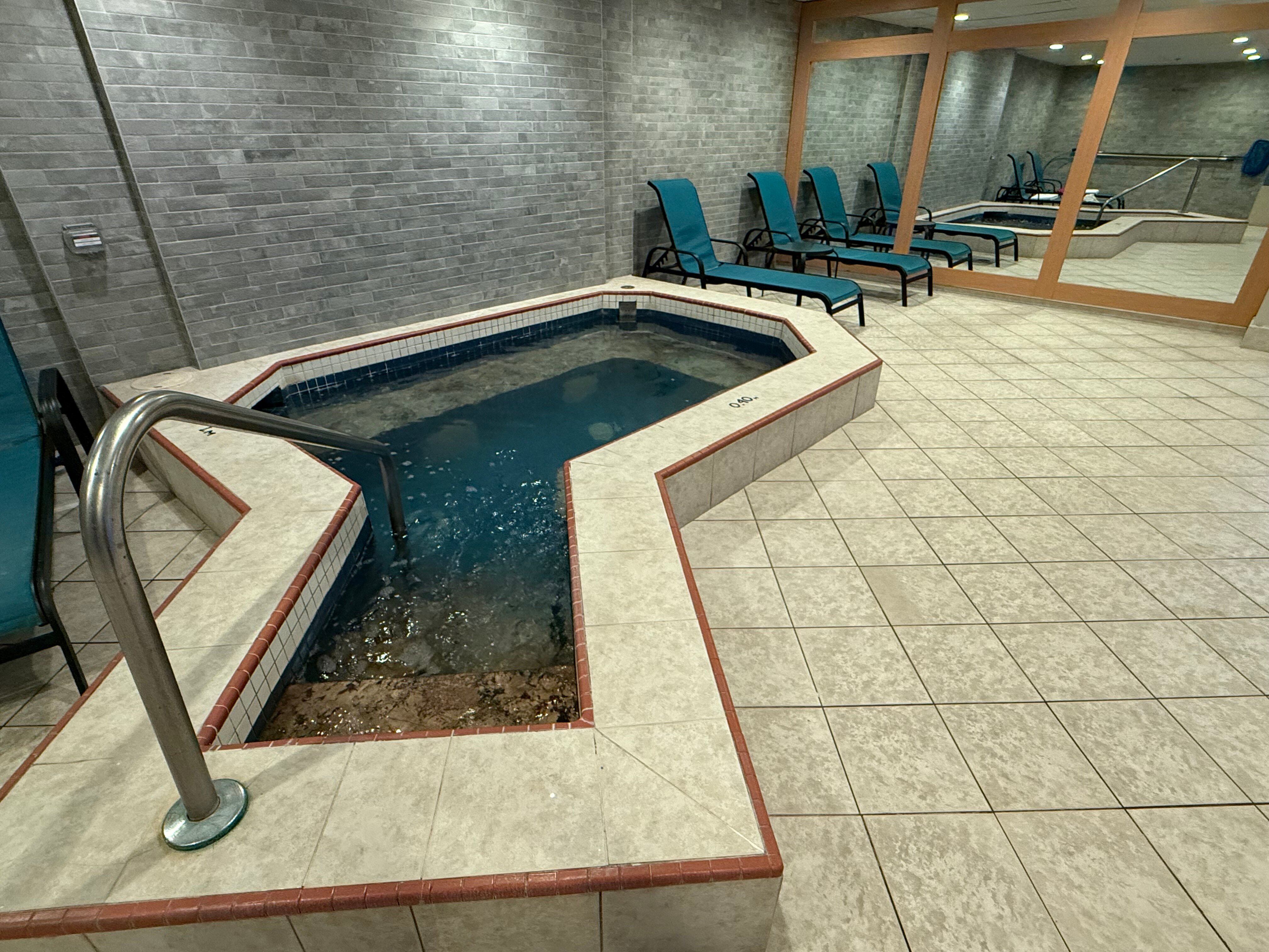 Hilton Montreal/Laval-泳池