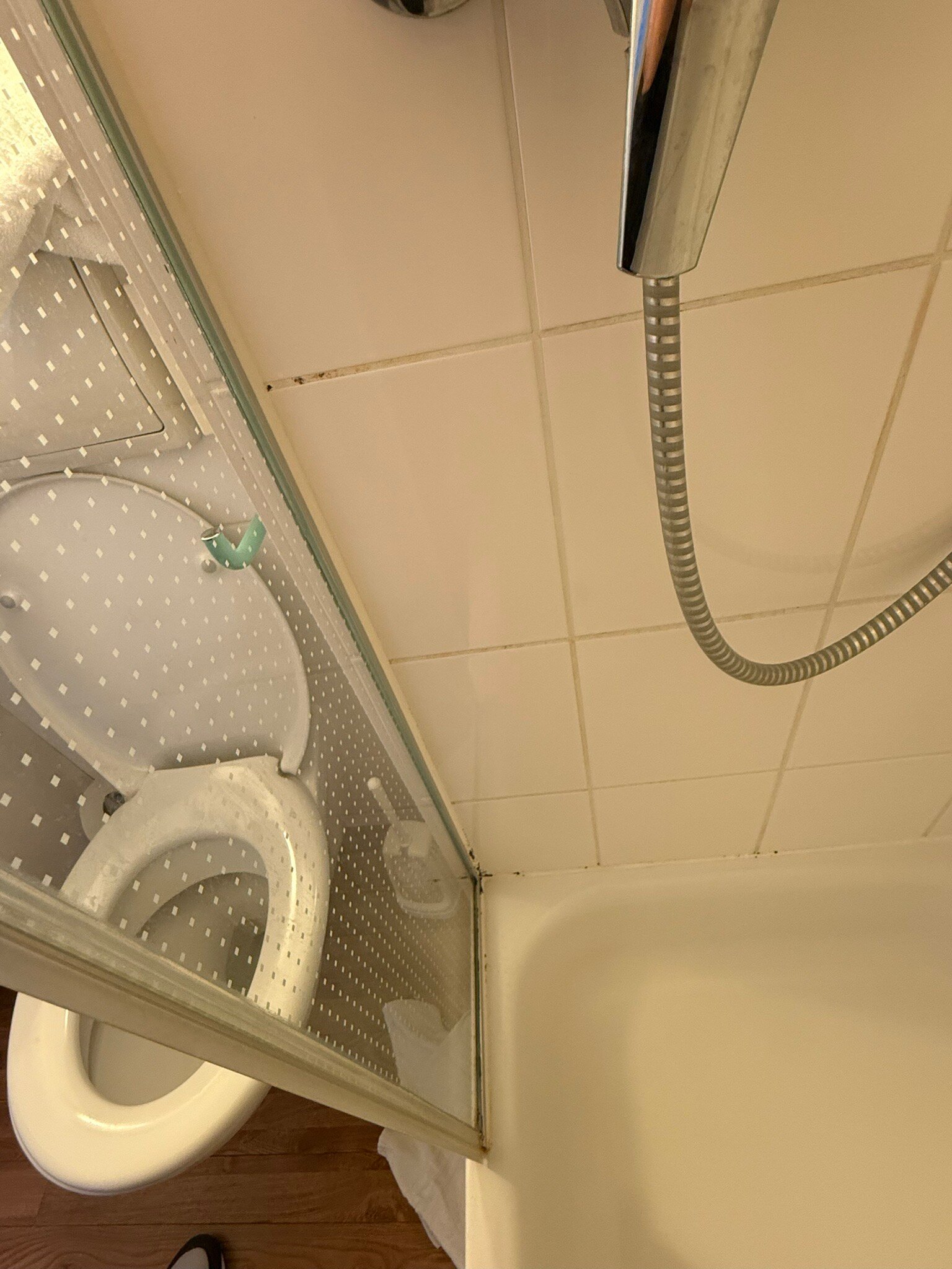 宜必思乌尔姆城市酒店-官方