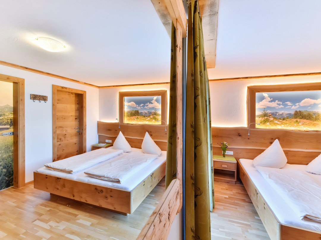 Alpenhotel Wanderniki主图